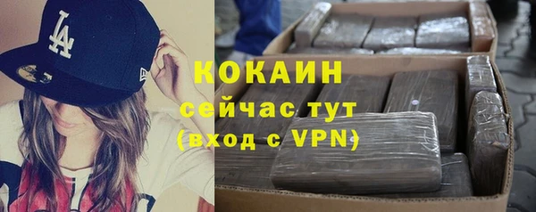 хмурый Алексин