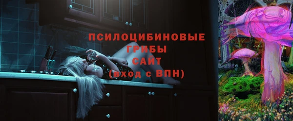 хмурый Алексин