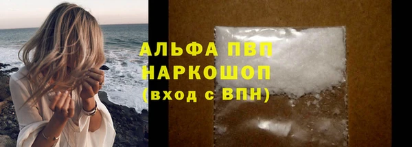 хмурый Алексин