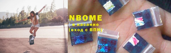 хмурый Алексин