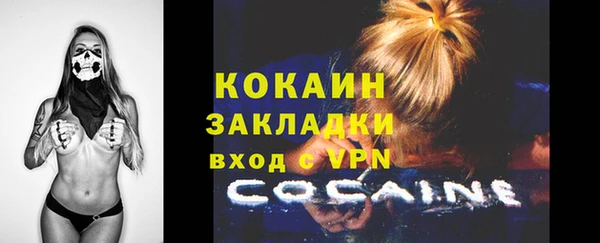 ПСИЛОЦИБИНОВЫЕ ГРИБЫ Осташков
