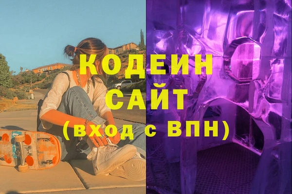 хмурый Алексин