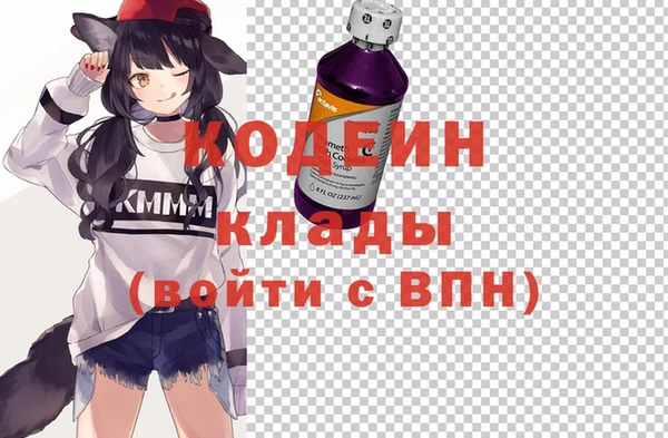 хмурый Алексин