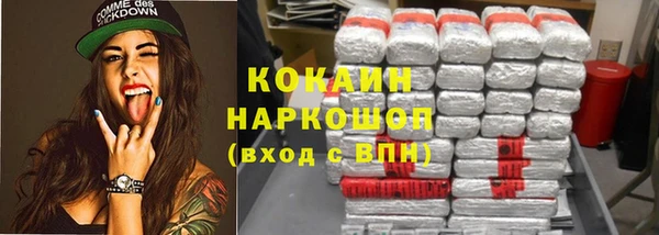хмурый Алексин