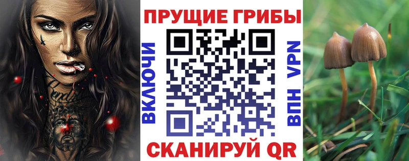 Псилоцибиновые грибы прущие грибы  Железноводск 